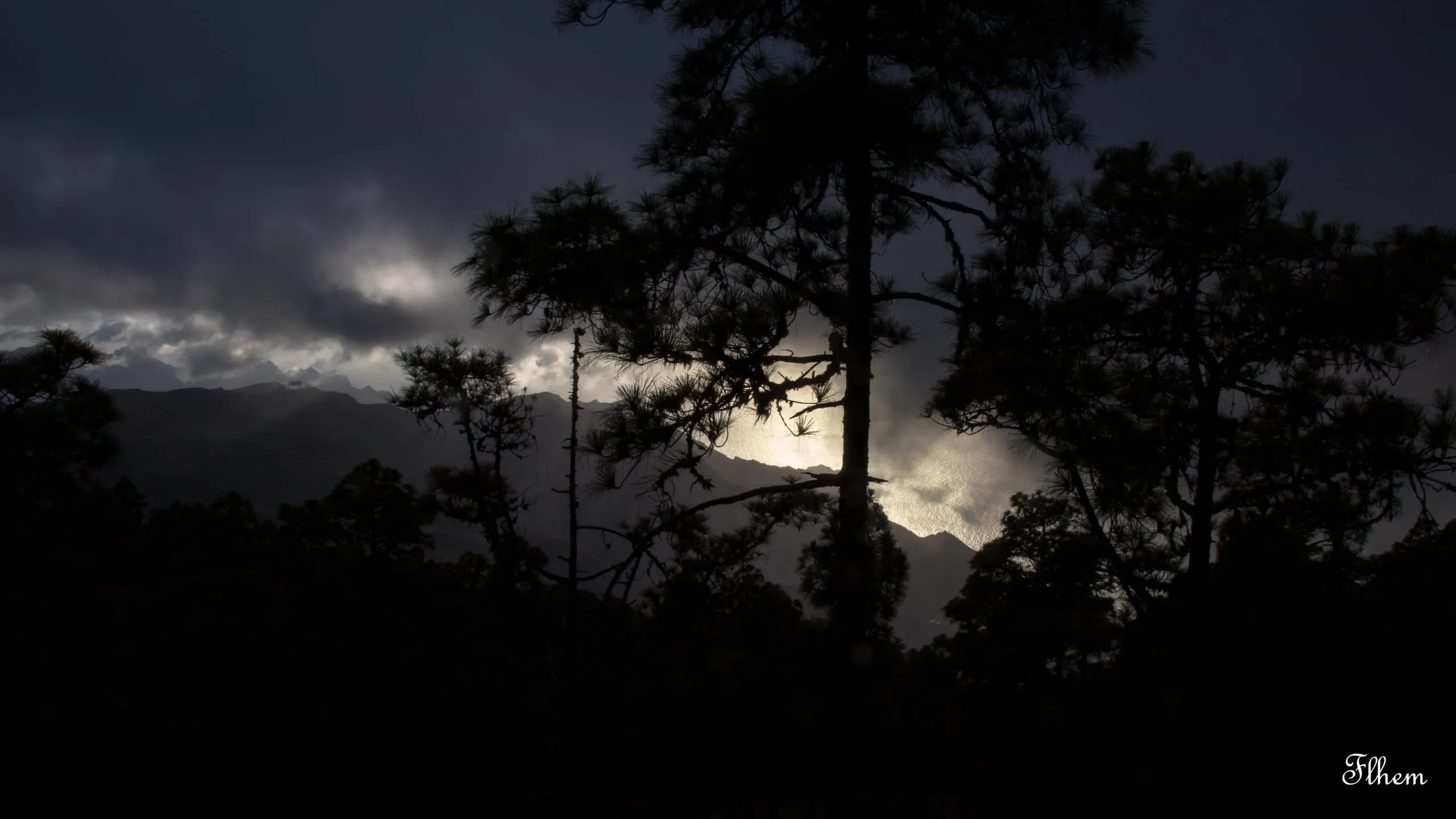 Silhouettes de pins devant des montagnes sous un ciel d'orage