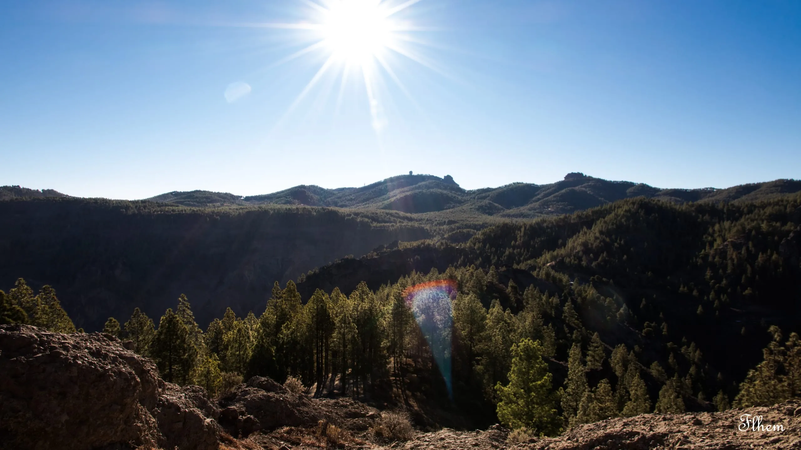Soleil éclatant au-dessus de montagnes couvertes de pins