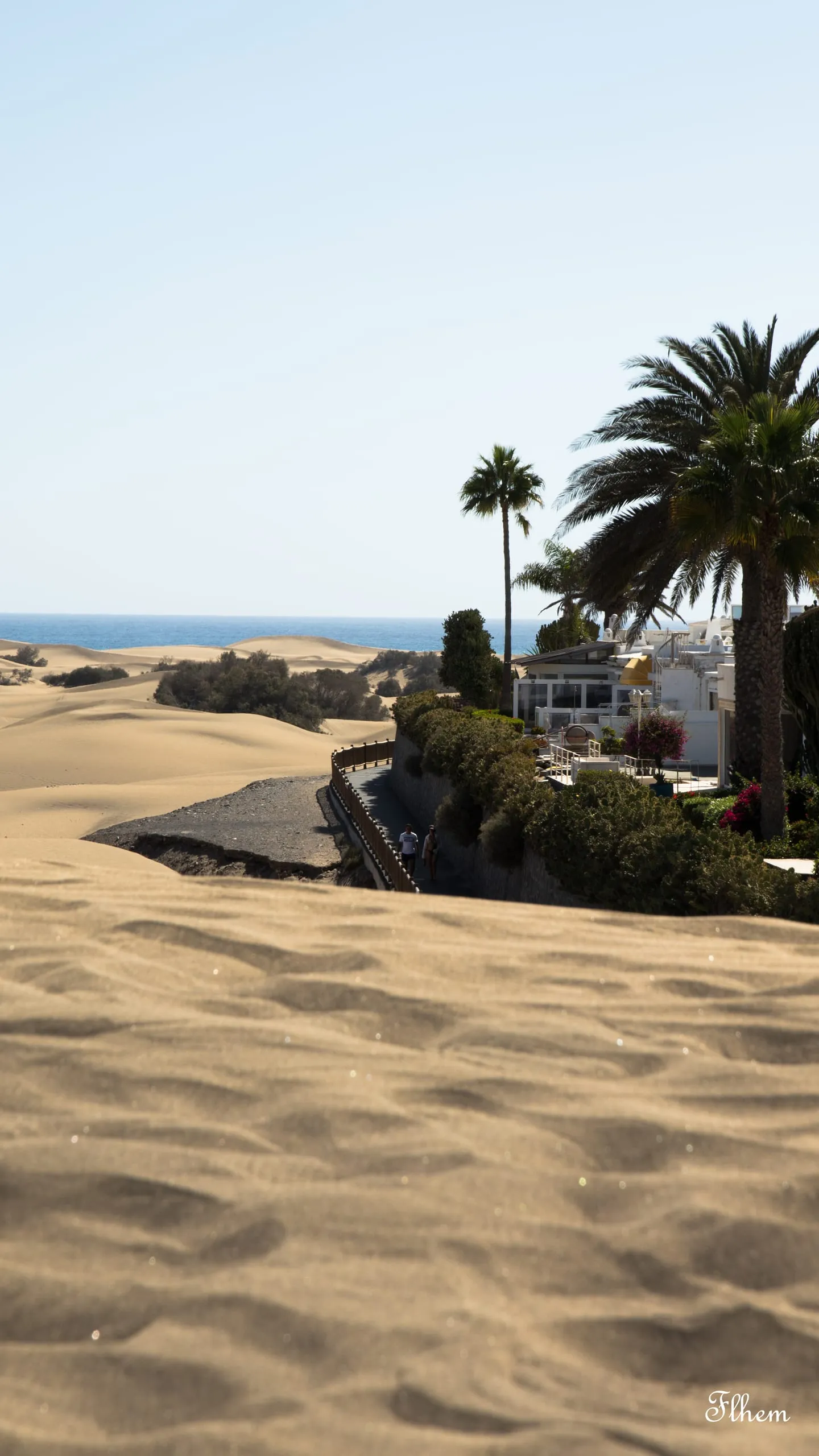 Dunes de sable au premier plan, palmiers et maisons blanches en bordure, la mer à l'horizon
