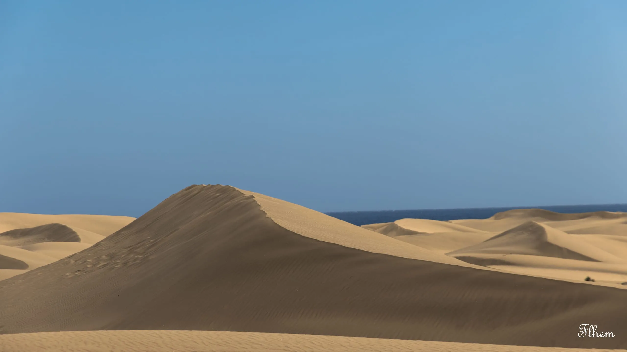 Crête d'une grande dune de sable doré se détachant sur un ciel bleu, la mer au loin