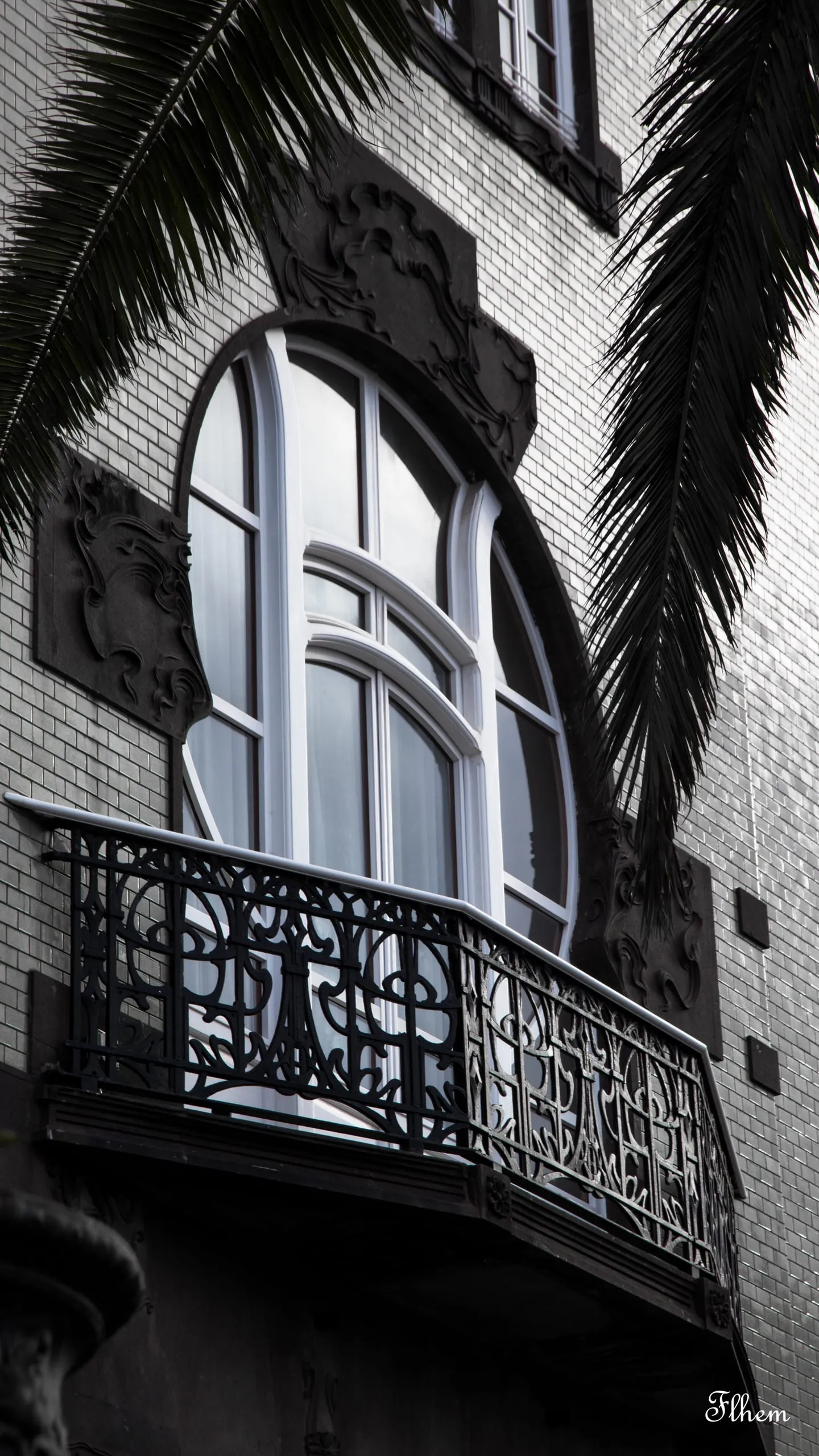 Fenêtre ronde et balcon en fer forgé d'une façade ancienne, entre des palmes, en noir et blanc