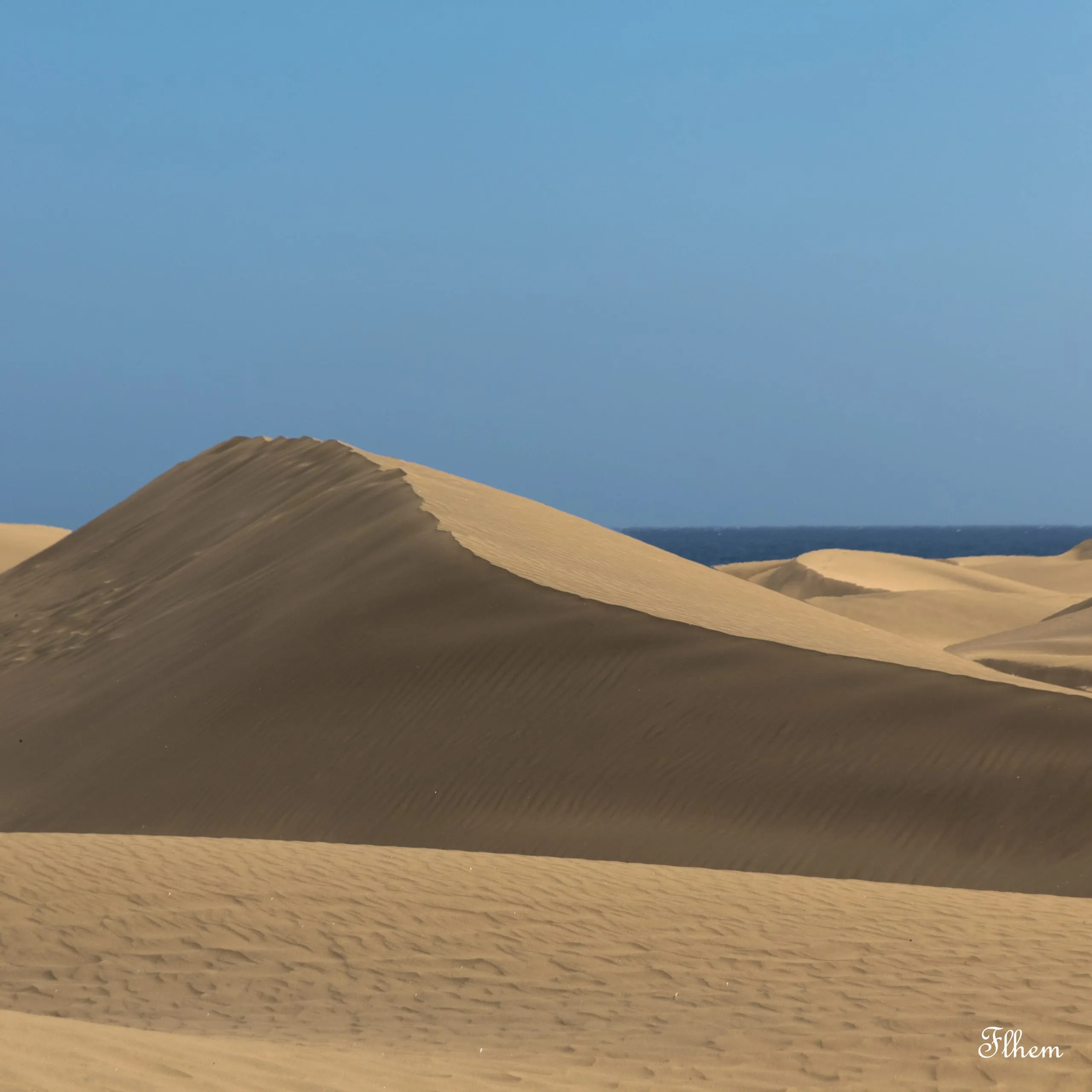 Dune de sable aux flancs lisses et striés par le vent, sous un ciel bleu sans nuage