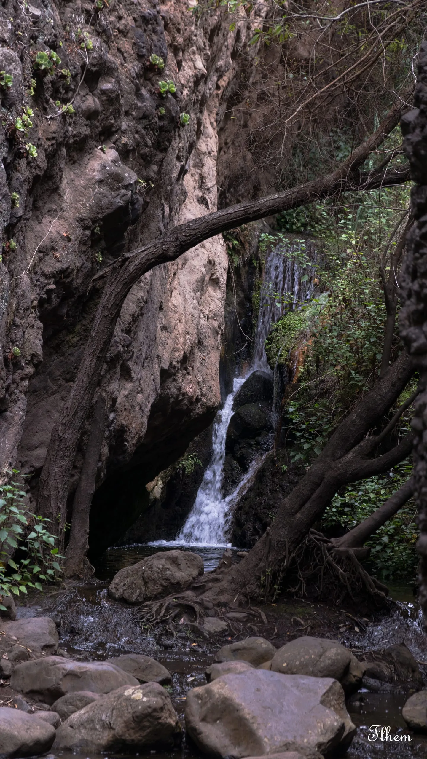 Cascade fine le long d'une paroi rocheuse, entourée d'arbres et de gros galets
